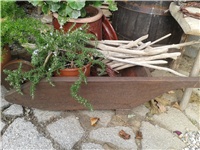 24575cc3-2016-10-09 09.36.21.jpg